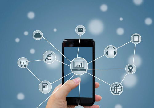 废旧物资搭上互联网快车，摇变“香饽饽”