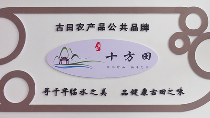 走进“食用菌之都” 探秘“互联网+”时代下的产业新貌