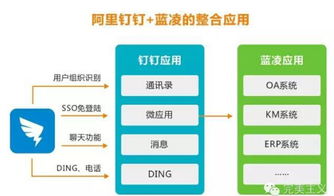 蓝凌徐霞 互联网产品，让用户觉得“爽”，应用方有“戏”